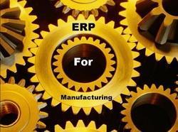 ERP Software Service