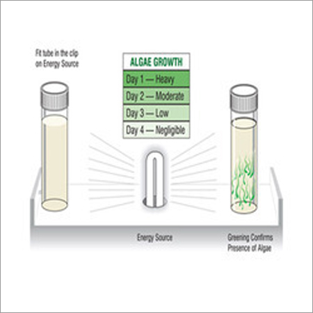 Algae Test Kit