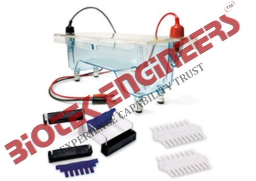 Immuno Electrophoresis Apparatus