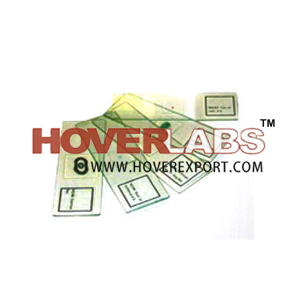 ANATOMY OF BOTANY PREPARED MICROSCOPE SLIDE