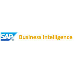 SAP Business Intelligence Services