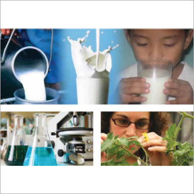 Food Safety Clinic