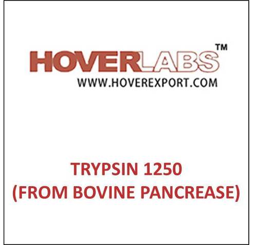 Trypsin 1250 (From Bovine Pancrease) - Bovine Pancreas, 1250 U/mg, Lyophilized | Protein Digestion, Cell Culture, High Purity, Research Grade