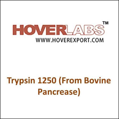 Trypsin 1250 (From Bovine Pancreas) - 1250 U/mg, >95% Purity | Protein Digestion, Cell Culture, High Purity, Research Grade