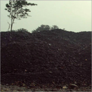 Nagaland Coal