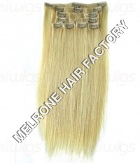 Remy White Hair