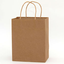 Craft Paper Bags