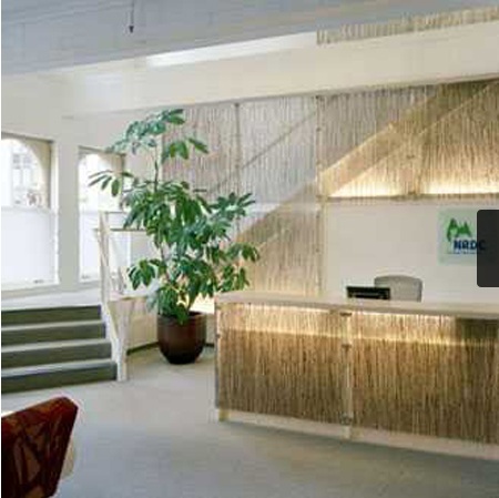 Translucent Vegetation Sheets Project 4