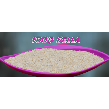 1509 Sella Basmati Rice