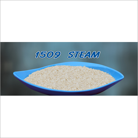 1509 Steam Basmati Rice