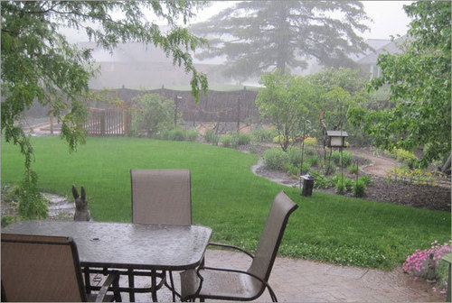 Garden Maintenance Services