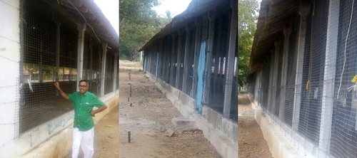 Poultry Weldmesh Partitions