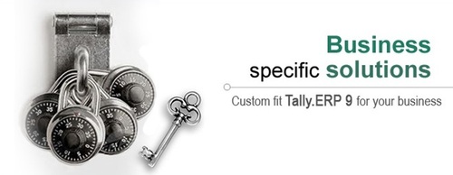 Tally ERP 9 (Business Specific Solutions)