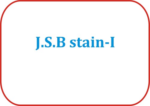 J.S.B Stain-I - Chemical Compound, 500ml Blue, LR Grade, MSDS Available | Easy Application, Accurate Staining, Versatile Use