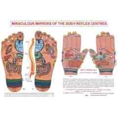 ACP Reflexology Chart - Foot & Hand 