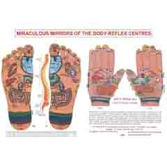 ACP Reflexology Chart - Foot & Hand