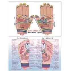 ACP Reflexology - V.Card Eng. - Foot/Hand 100 pc. 