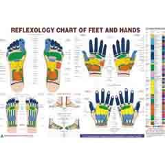 ACP Reflexology Chart Eng. 20 