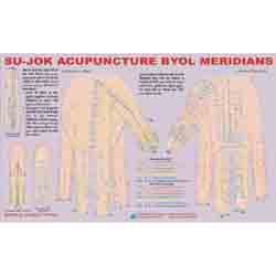 ACP Sujok Acupuncture - Byol Meridian Chart 