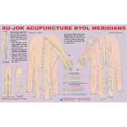 ACP Sujok Acupuncture - Byol Meridian Chart