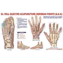 ACP Dr. Voll Electro Acu. - Chart E.A.V. 