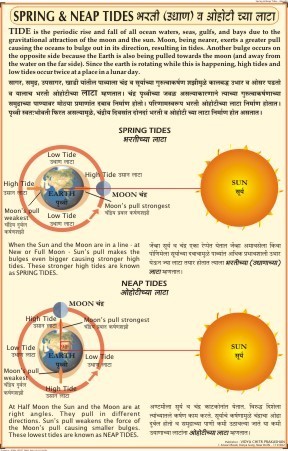 Spring Neap Tides Charts