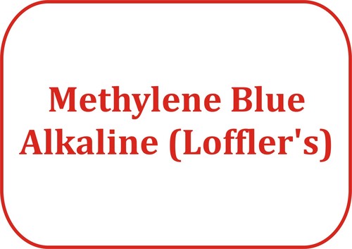 Methylene Blue Alkaline (Loffler's)