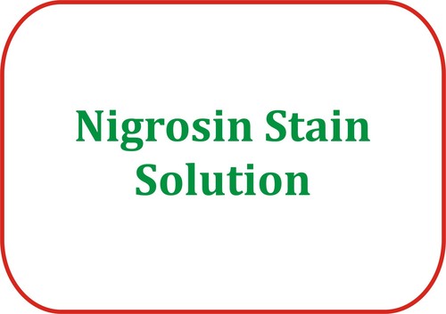 Nigrosin Stain Solution