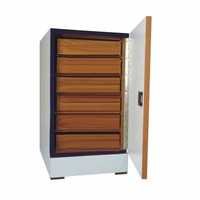 Insect Showcase Cabinet