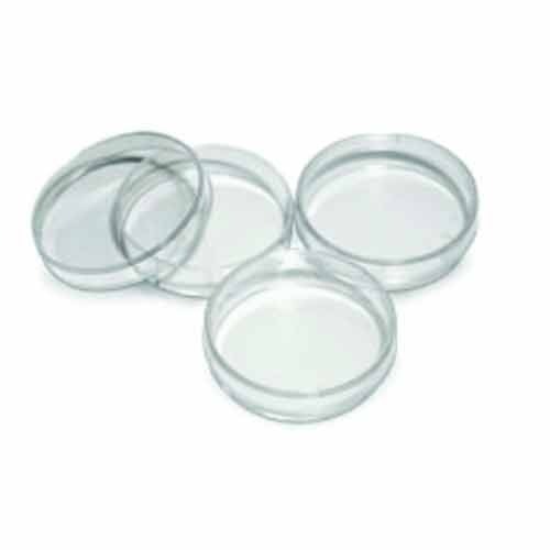 Petri Dish Culture