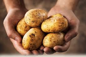 Fresh Preserved Potato