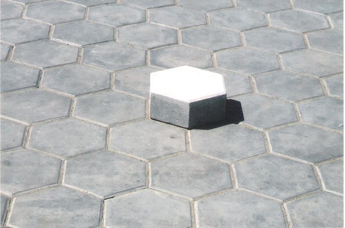 Hexagonal Paver