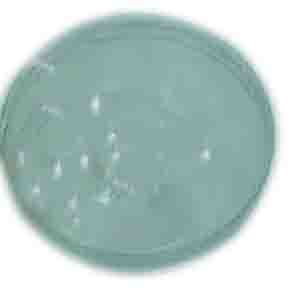 ACP Vacuum Ball - Half Ball - Transprit