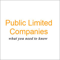 Public Limited Companies Service