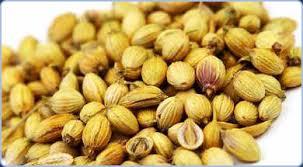CORIANDER SEEDS