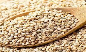 SESAME SEEDS 