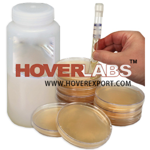 Nutrient Agar