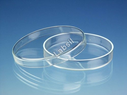 petri dish