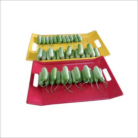 Bottle Gourd