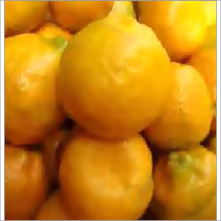 Indian Orange