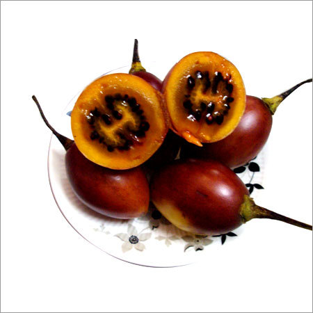 Tree Tomato