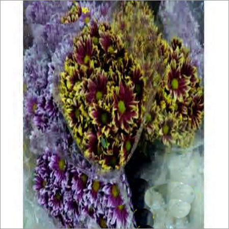 Indian Cut Flowers