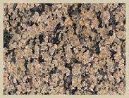 Rainwara Yellow Granite