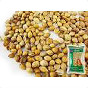 Raw Coriander