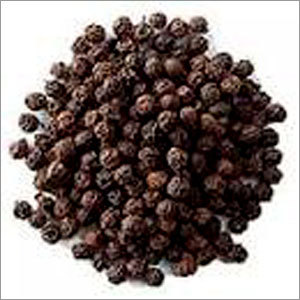 Black Pepper