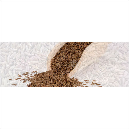 Cumin Seed