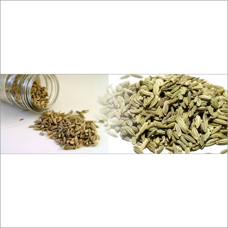 Fennel Seed