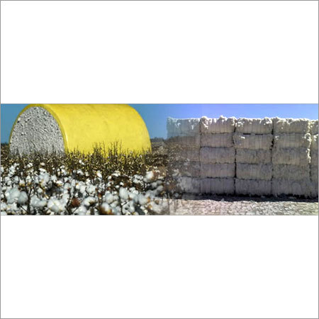 Cotton Bale