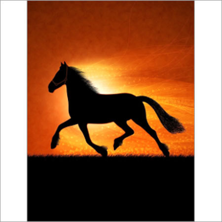 Business Investor Consultancy