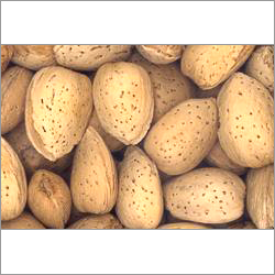 Dry Fruits